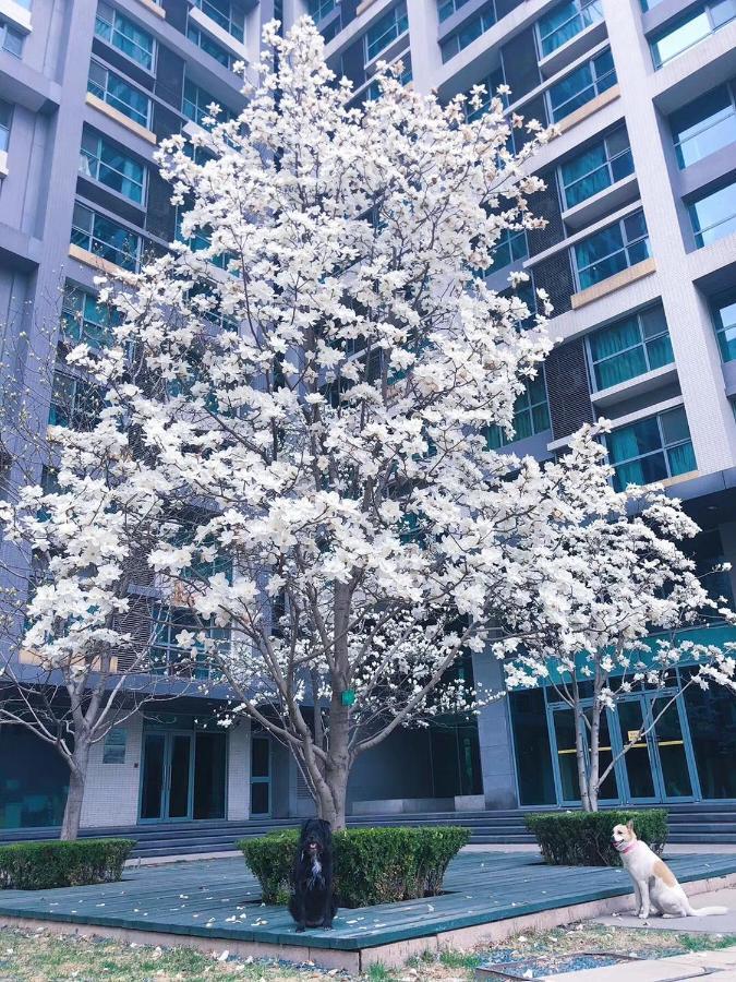 Beijing Elegant Seasons Park Apartment Exterior photo